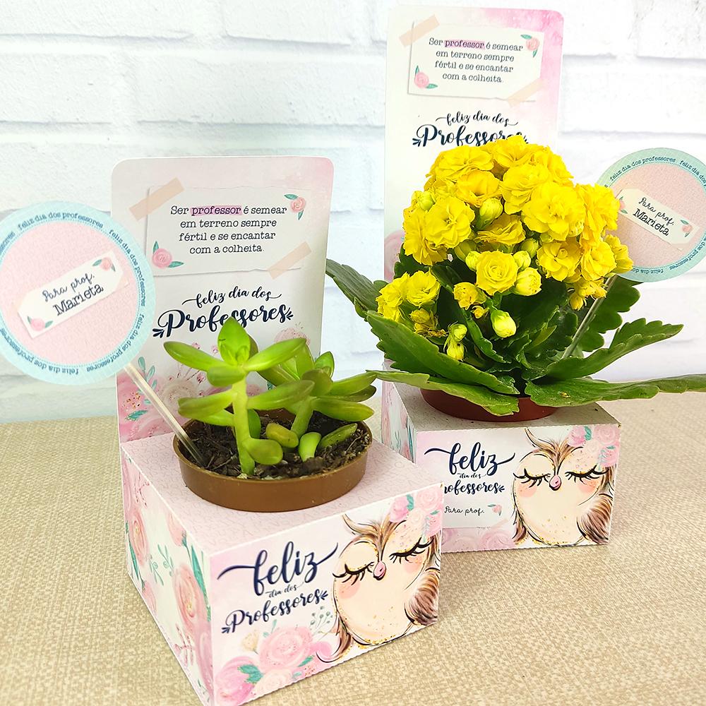 Arquivo de Corte Caixa suculenta dia dos Professores