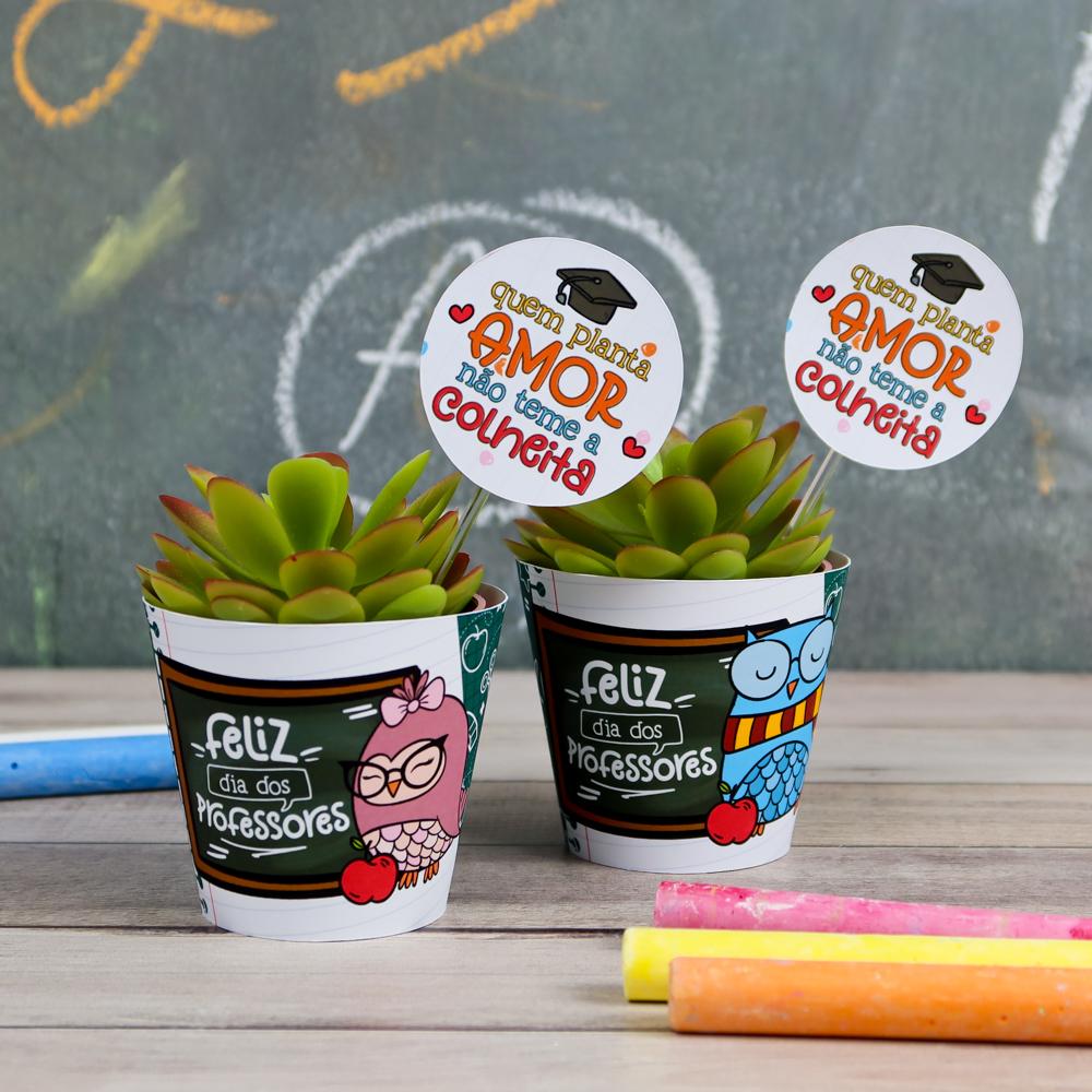 Arquivo de Corte suculenta dia dos professores