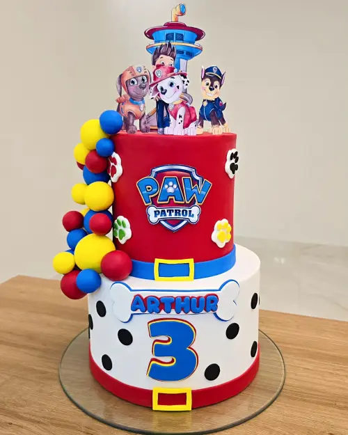 Arquivo de Corte Topo Patrulha Canina menino