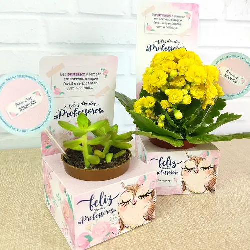 Arquivo de Corte Caixa suculenta dia dos Professores