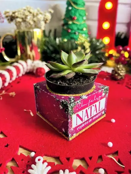 Aquivo de Corte Caixinha Suculenta Natal
