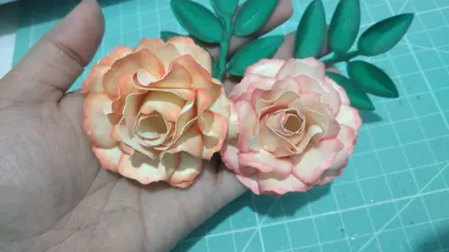 Arquivo de Corte Rosa Aurora