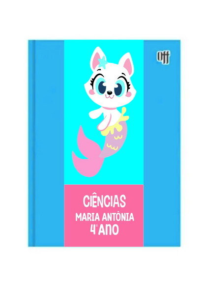 Kit 6 Cadernos Brochuras Grande Puket