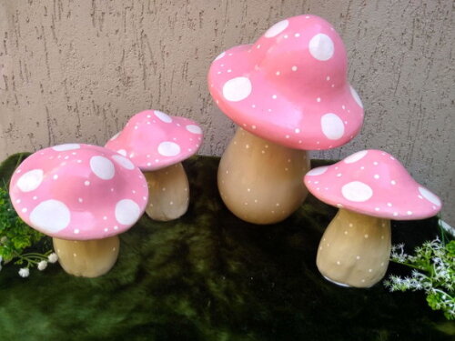 Cogumelos Candy Kit com 4