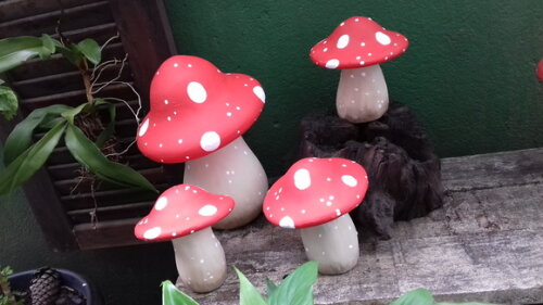 Cogumelos Kit com 4