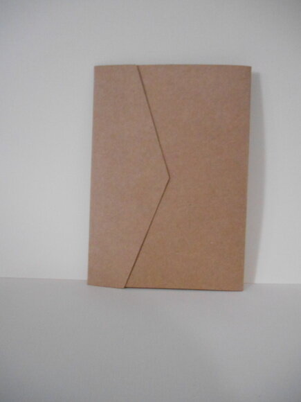 Envelope Bico