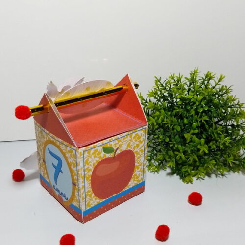 Caixa Canudo Branca de Neve Tradicional
