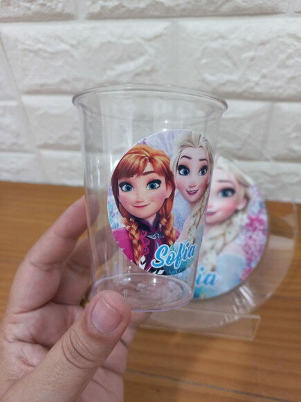 Combo Descartável Refeição Frozen
