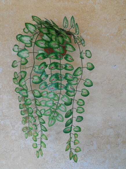 Arranjo Floral em Vaso de Parede