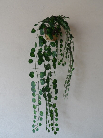 Arranjo Floral em Vaso de Parede