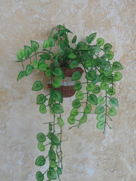Arranjo Floral em Vaso de Parede