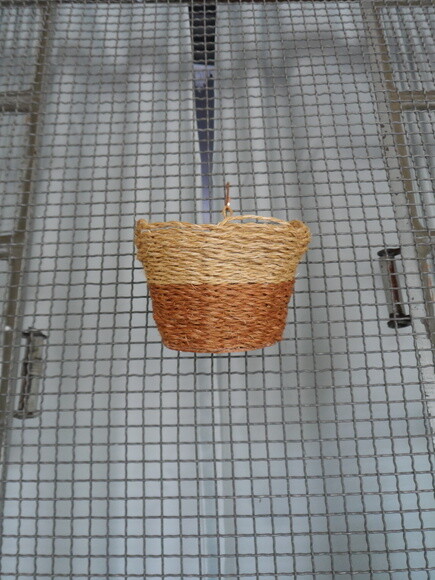 Arranjo Floral em Vaso de Parede