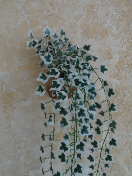 Arranjo Floral em Vaso de Parede