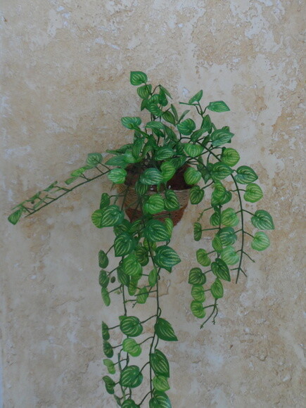 Arranjo Floral em Vaso de Parede