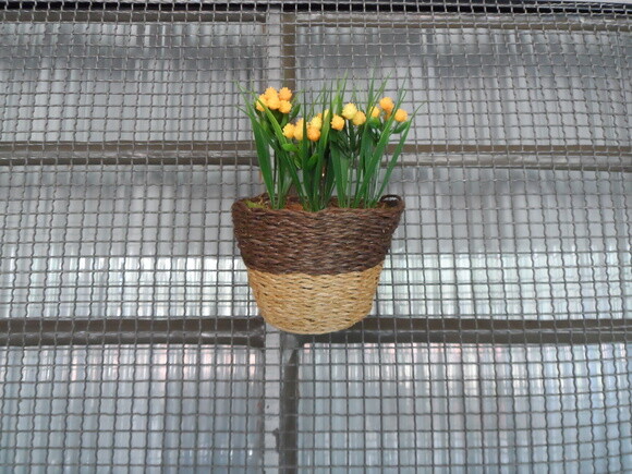 Arranjo Floral em Vaso de Parede