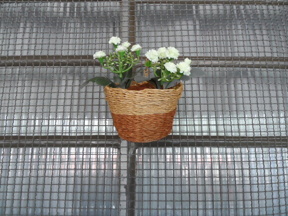 Arranjo Floral em Vaso de Parede