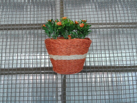 Arranjo Floral em Vaso de Parede