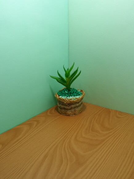 Arranjo Floral em Vaso de Sisal