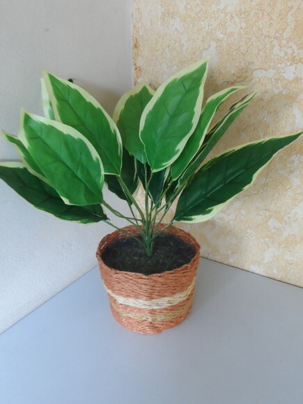 Arranjo Floral em Vaso de Sisal