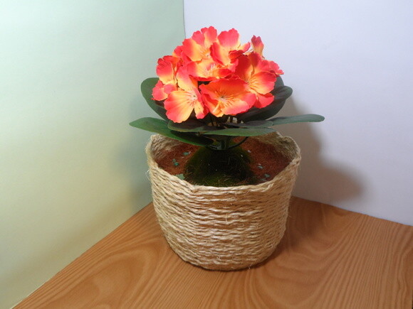 Arranjo Floral em Vaso de Sisal