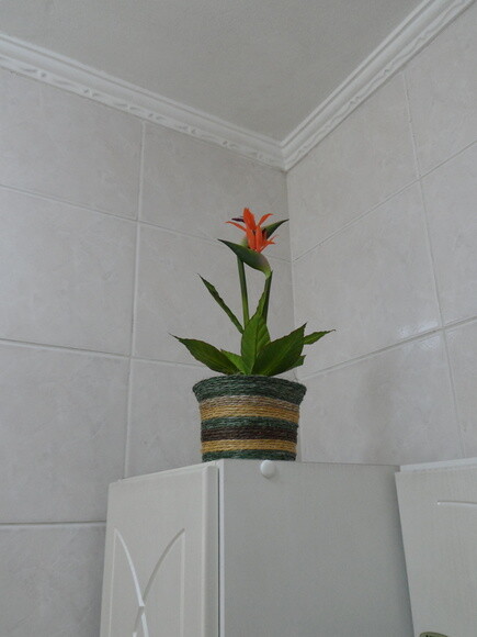 Arranjo Floral em Vaso de Sisal