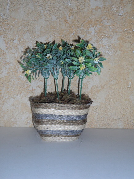 Arranjo Floral em Vaso de Sisal