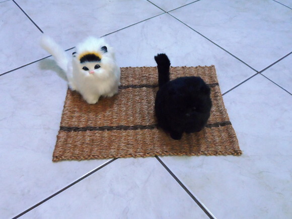 Tapete de sisal para gatos