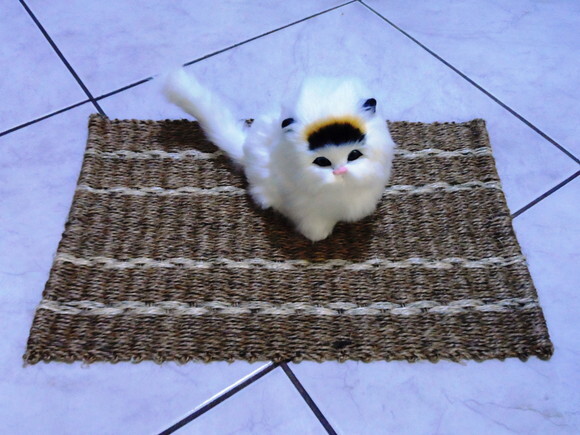 Tapete de sisal para gatos