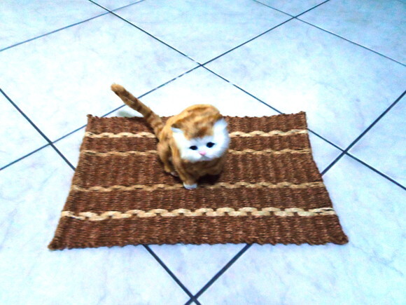Tapete de sisal para gatos