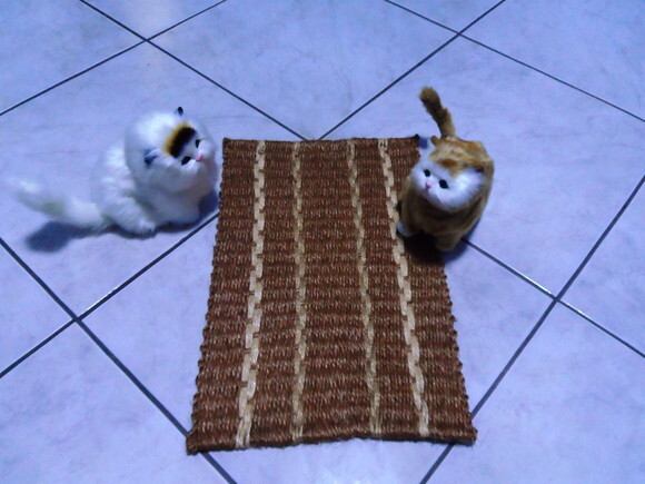 Tapete de sisal para gatos