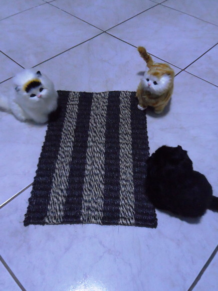 Tapete de sisal para gatos