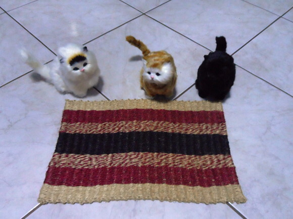 Tapete de sisal para gatos