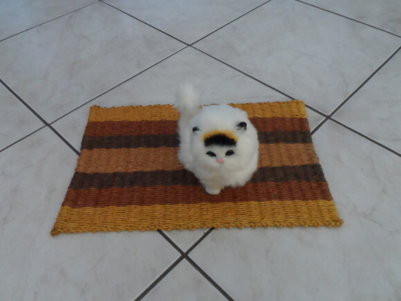 Tapete de Sisal para Gatos