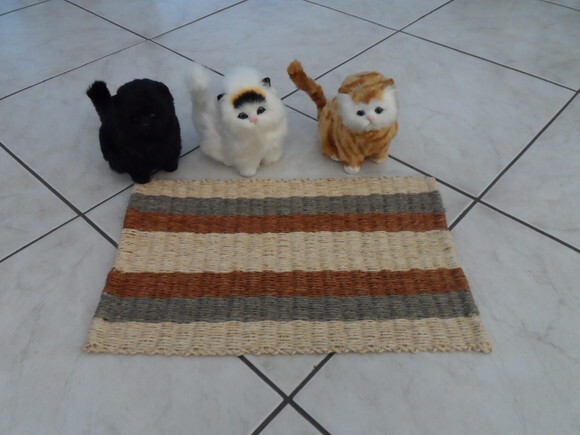 Tapete de Sisal para Gatos