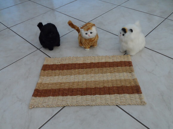 Tapete de Sisal para Gatos
