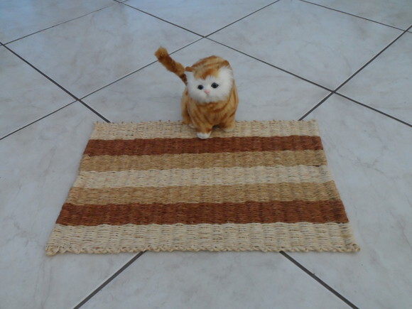 Tapete de Sisal para Gatos