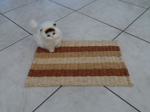 Tapete de Sisal para Gatos