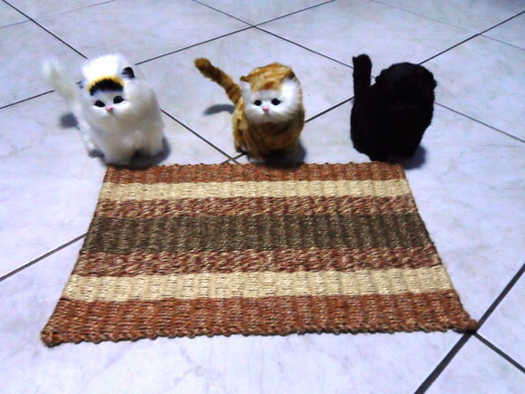 Tapete de Sisal para Gatos