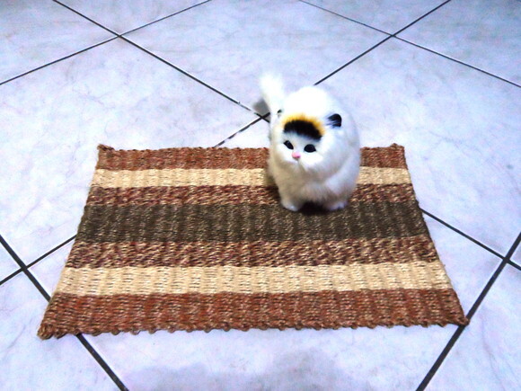 Tapete de Sisal para Gatos