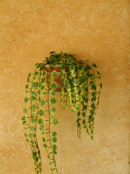 Vaso Parede Decorado com Sisal