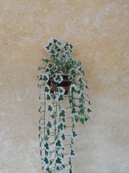 Vaso Parede Decorado com Sisal