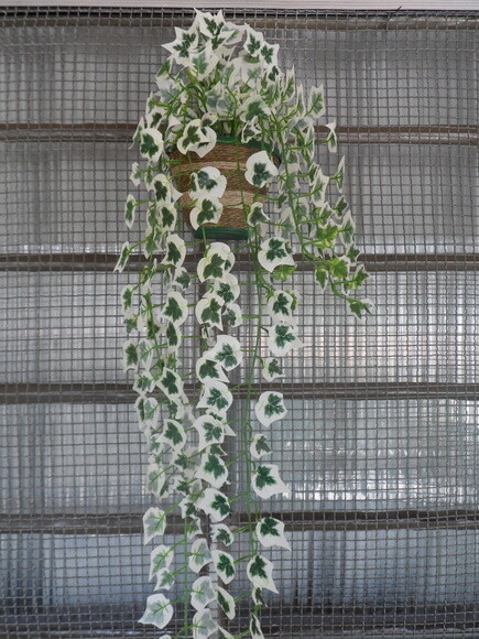 Vaso Parede Decorado com Sisal