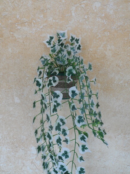 Vaso Parede Decorado com Sisal