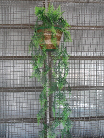 Vaso Parede Decorado com Sisal