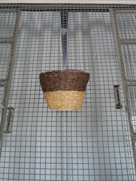 Arranjo Floral em Vaso de Parede