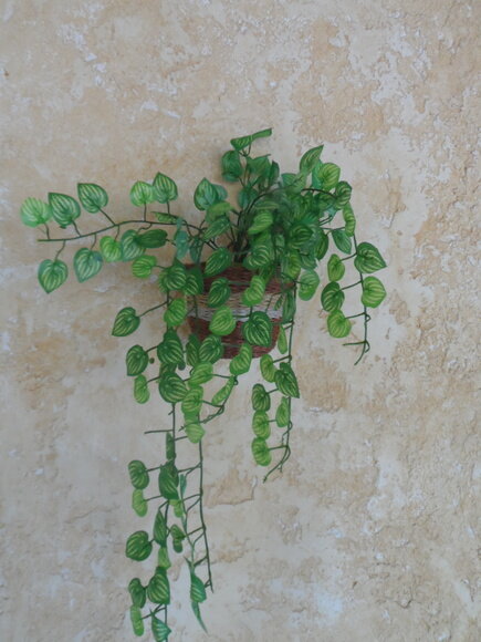 Arranjo Floral em Vaso de Parede