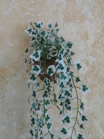 Arranjo Floral em Vaso de Parede