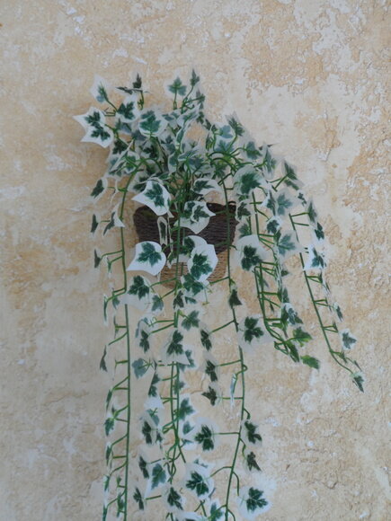 Arranjo Floral em Vaso de Parede