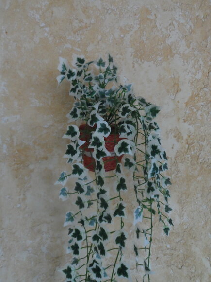 Arranjo Floral em Vaso de Parede