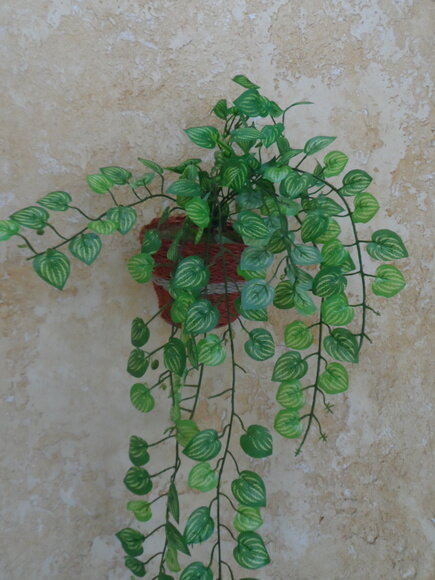Arranjo Floral em Vaso de Parede